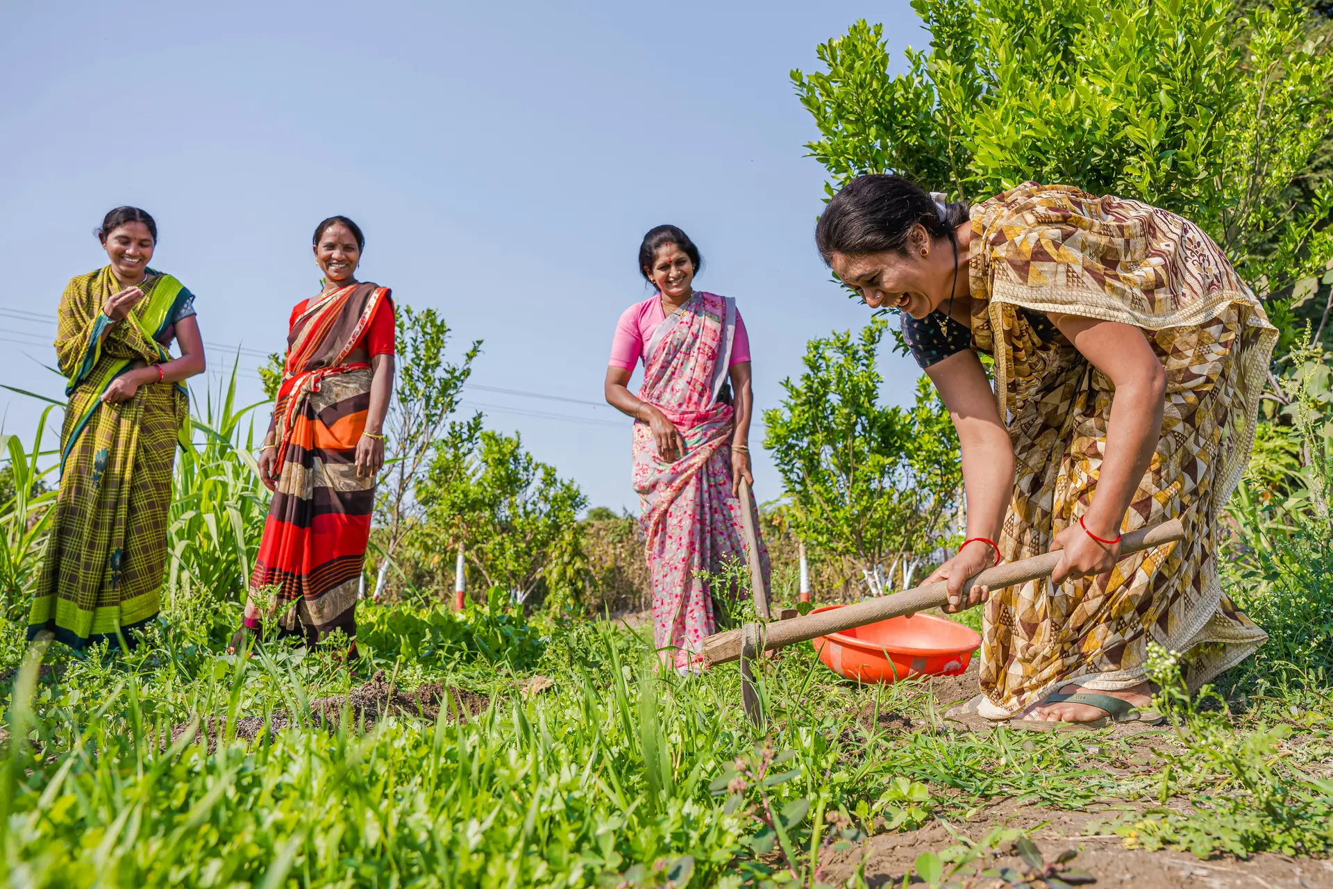 Sustainable Agriculture